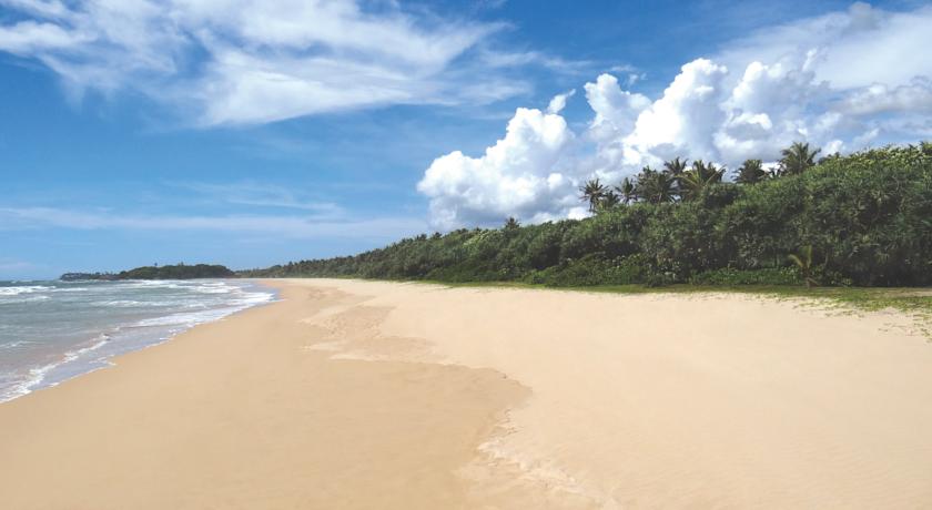 Centara Ceysands Resort & Spa Sri Lanka — Бентота, Шрі Ланка мініатюра 14