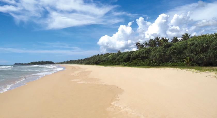 Centara Ceysands Resort & Spa Sri Lanka — Бентота, Шрі Ланка мініатюра 20