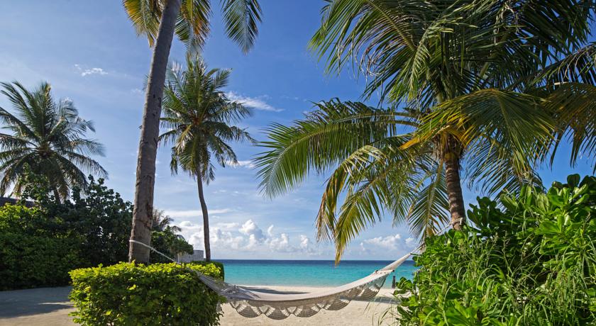 Ozen Reserve Bolifushi — Південний Мале Атол, Мальдіви мініатюра 22