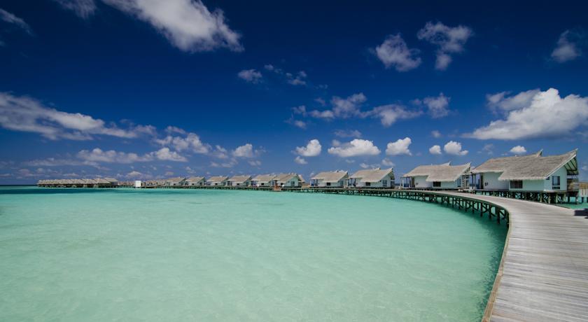 Ozen Reserve Bolifushi — Південний Мале Атол, Мальдіви мініатюра 43