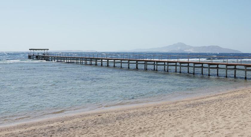 Sharm Grand Plaza — Шарм-ель-Шейх, Єгипет мініатюра 50