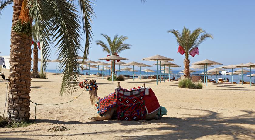 The Three Corners Sunny Beach Resort — Хургада, Єгипет мініатюра 19
