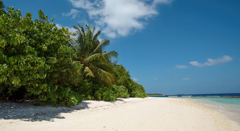 NH Maldives Kuda Rah Resort — Арі (Аліфу) атол, Мальдіви мініатюра 6