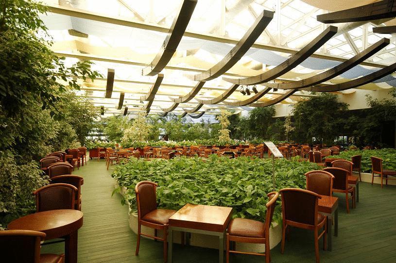 Washington Resort Hotel & Spa — Сіде, Туреччина мініатюра 35