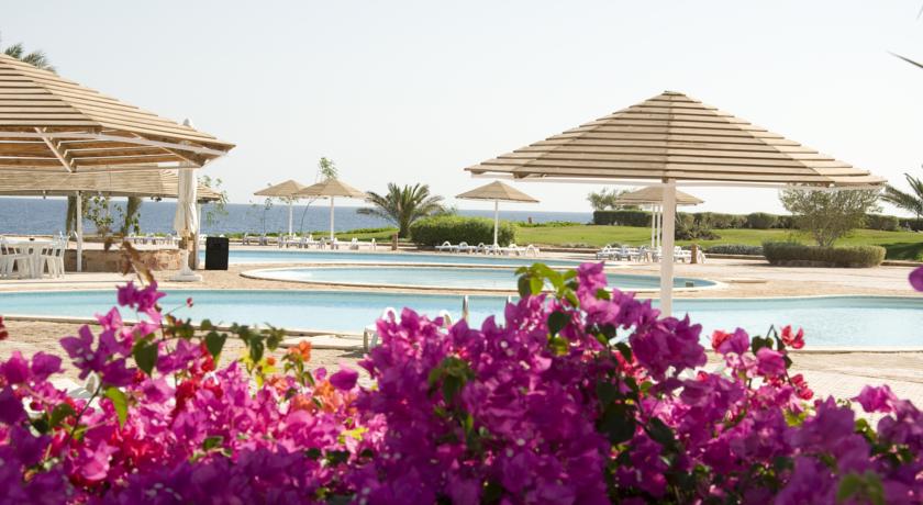 The Three Corners Equinox Beach Resort — Марса Алам, Єгипет мініатюра 104