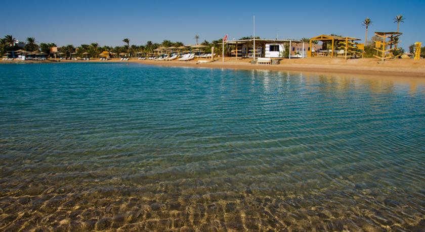 Club Paradisio El Gouna — Ель Гуна, Єгипет мініатюра 7