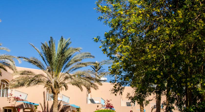 Club Paradisio El Gouna — Ель Гуна, Єгипет мініатюра 16