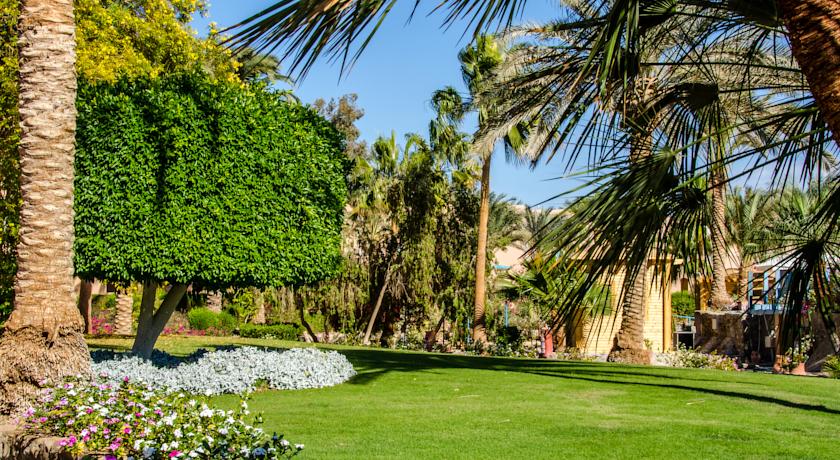 Club Paradisio El Gouna — Ель Гуна, Єгипет мініатюра 17