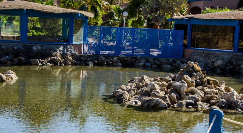 Club Paradisio El Gouna — Ель Гуна, Єгипет мініатюра 18