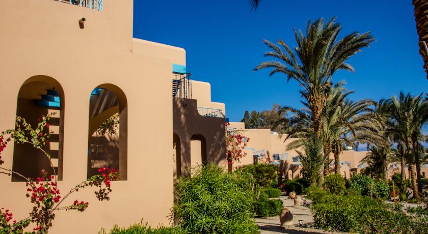 Club Paradisio El Gouna — Ель Гуна, Єгипет мініатюра 22