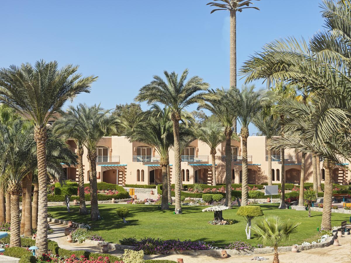 Club Paradisio El Gouna — Ель Гуна, Єгипет мініатюра 45