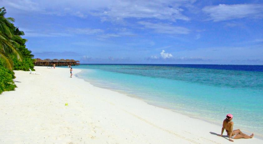 Fihalhohi Island Resort — Південний Мале Атол, Мальдіви мініатюра 7
