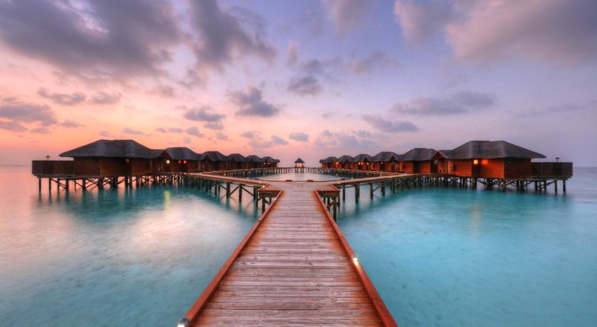 Fihalhohi Island Resort — Південний Мале Атол, Мальдіви мініатюра 13