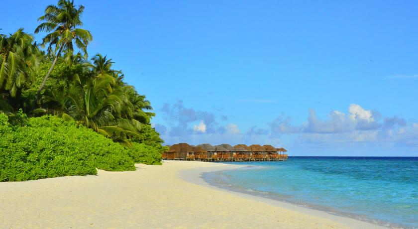 Fihalhohi Island Resort — Південний Мале Атол, Мальдіви мініатюра 16