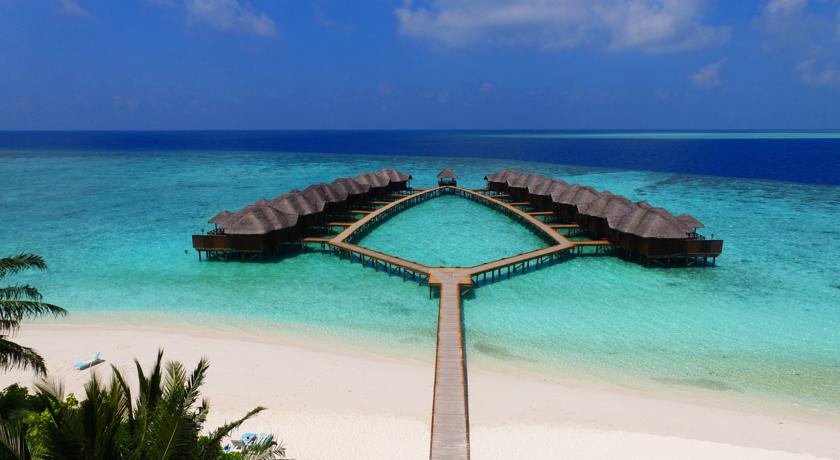 Fihalhohi Island Resort — Південний Мале Атол, Мальдіви мініатюра 22