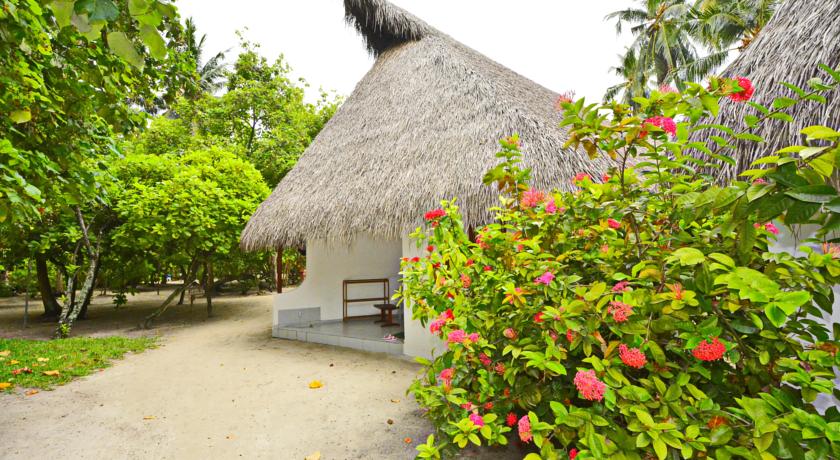 Fihalhohi Island Resort — Південний Мале Атол, Мальдіви мініатюра 32