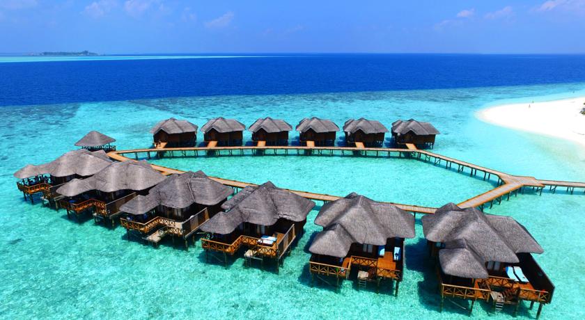 Fihalhohi Island Resort — Південний Мале Атол, Мальдіви мініатюра 46