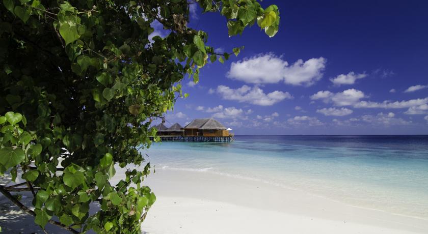 Mirihi Island Resort, Арі (Аліфу) атол, Мальдіви мініатюра 10