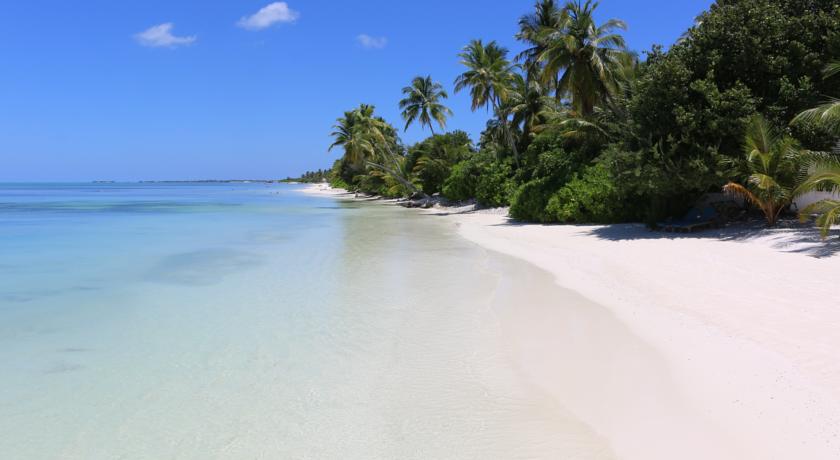 Canareef Resort Maldives — Адду Атол, Мальдіви мініатюра 6