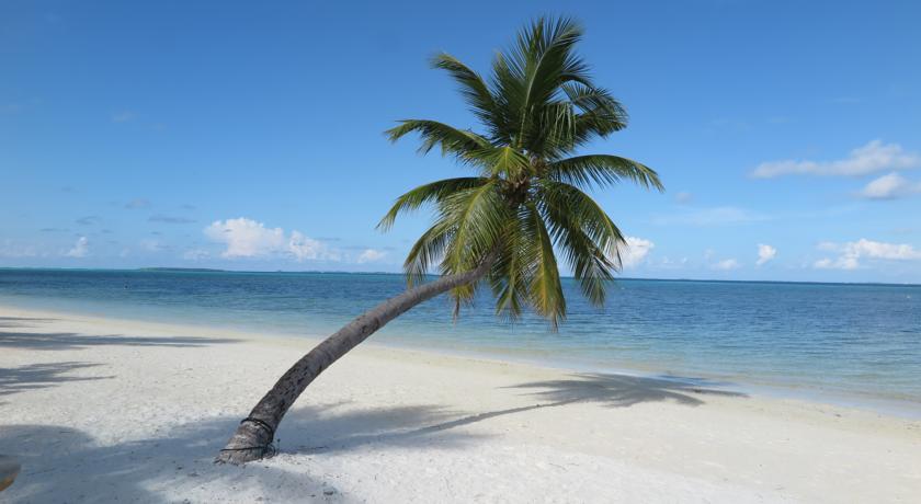 Canareef Resort Maldives — Адду Атол, Мальдіви мініатюра 7