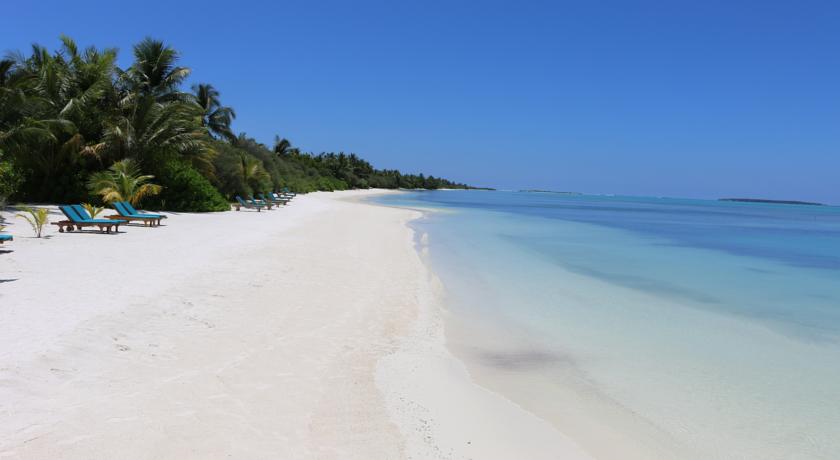 Canareef Resort Maldives — Адду Атол, Мальдіви мініатюра 8