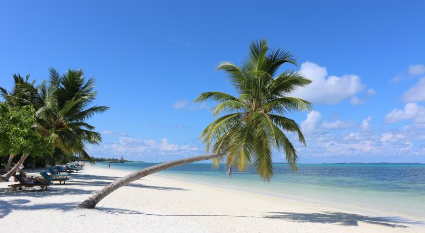 Canareef Resort Maldives — Адду Атол, Мальдіви мініатюра 9