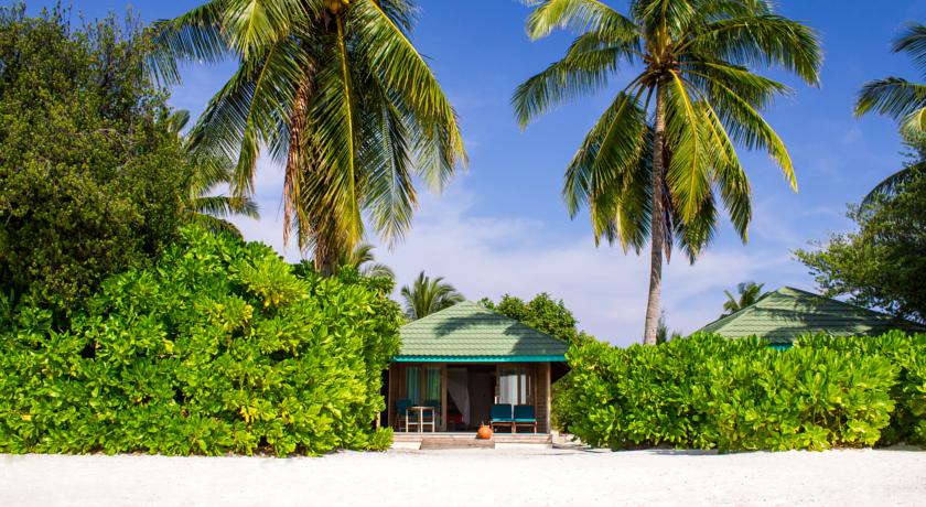 Canareef Resort Maldives — Адду Атол, Мальдіви мініатюра 13