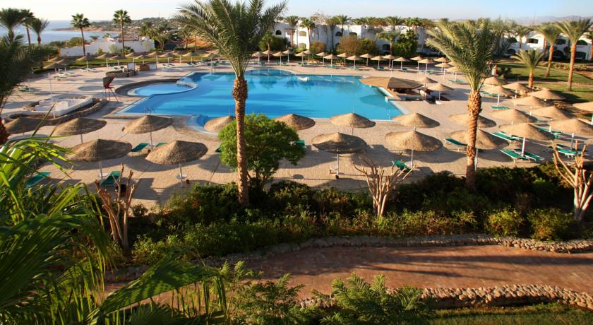 Domina Coral Bay Oasis — Шарм-ель-Шейх, Єгипет мініатюра 328