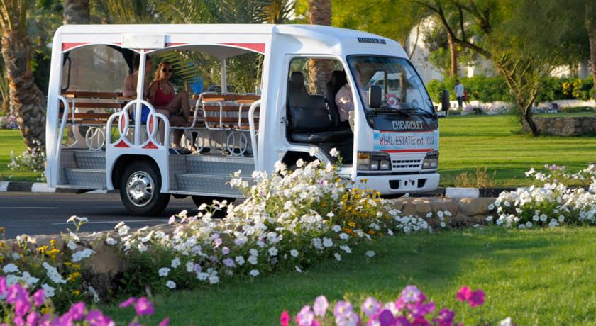 Domina Coral Bay Oasis — Шарм-ель-Шейх, Єгипет мініатюра 331