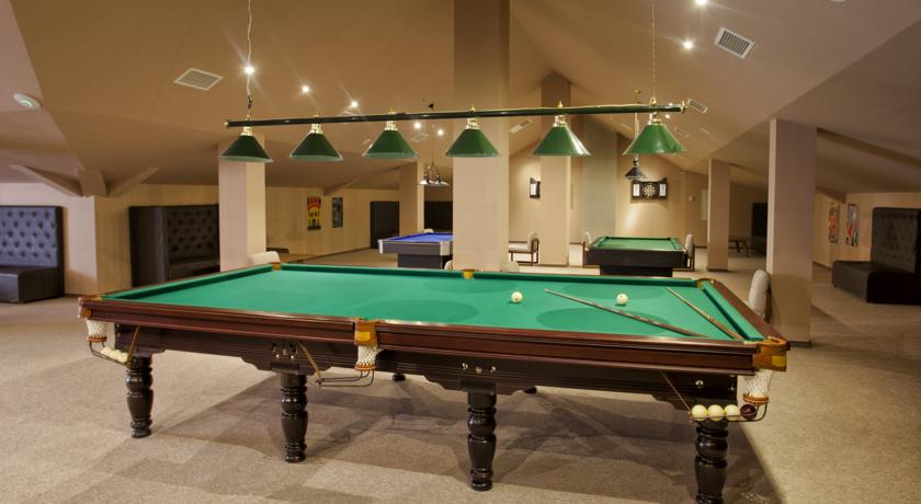 Alpina Hotel — Гудаурі, Грузія мініатюра 65
