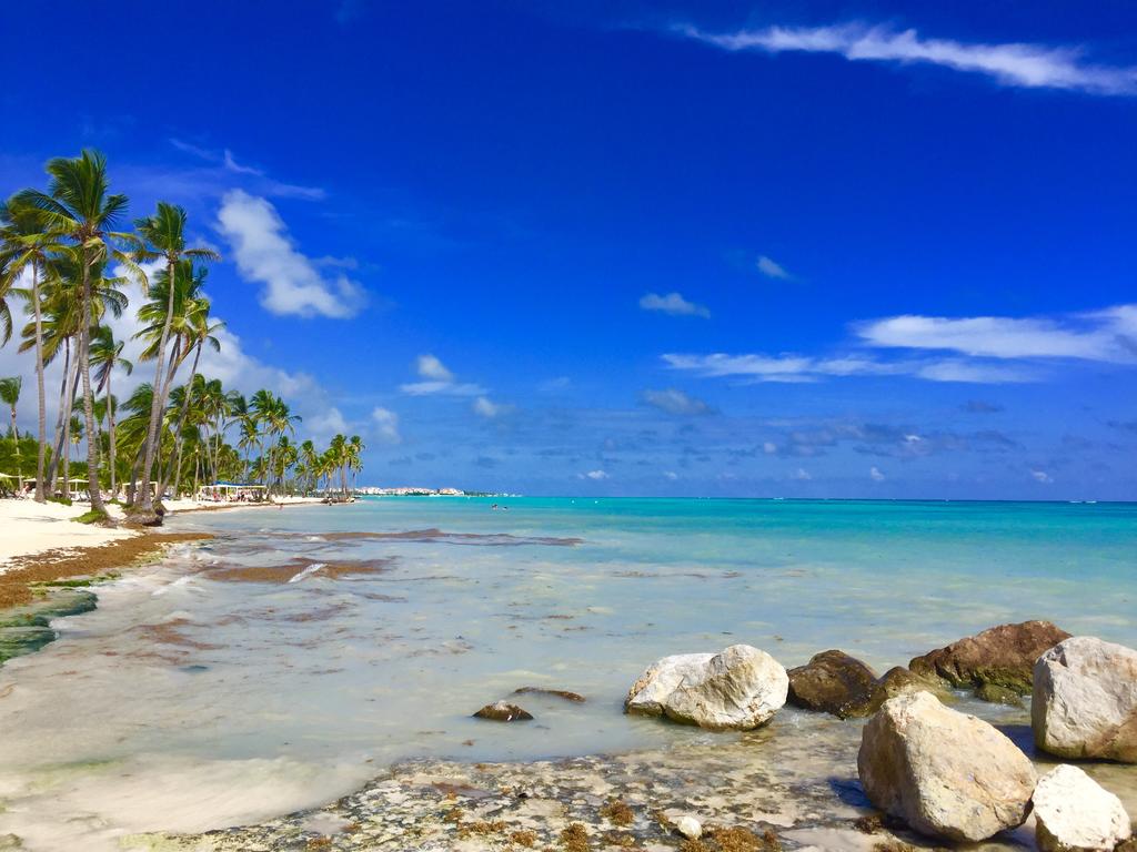 Catalonia Bavaro Beach — Пунта Кана, Домініканська Республіка мініатюра 46