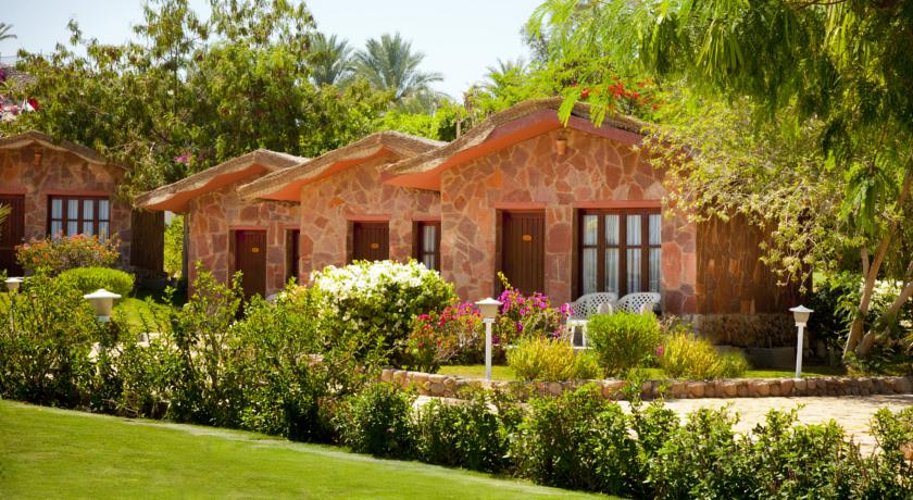 Xperience St. George Homestay — Хадаба, Єгипет мініатюра 19