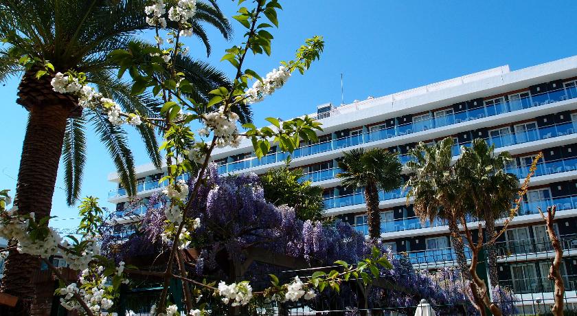 Anabel Hotel Lloret de Mar — Ллорет-де-Мар, Іспанія мініатюра 151