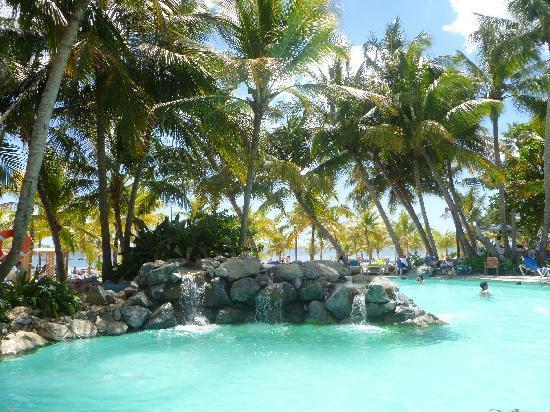 Coral Costa Caribe Resort & Spa — Хуан Доліо, Домініканська Республіка мініатюра 28