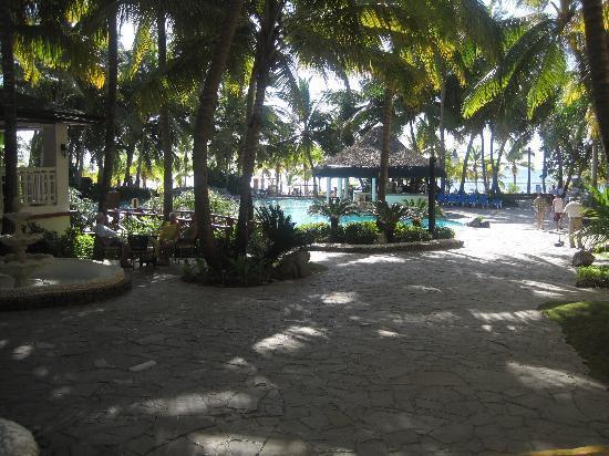 Coral Costa Caribe Resort & Spa — Хуан Доліо, Домініканська Республіка мініатюра 37