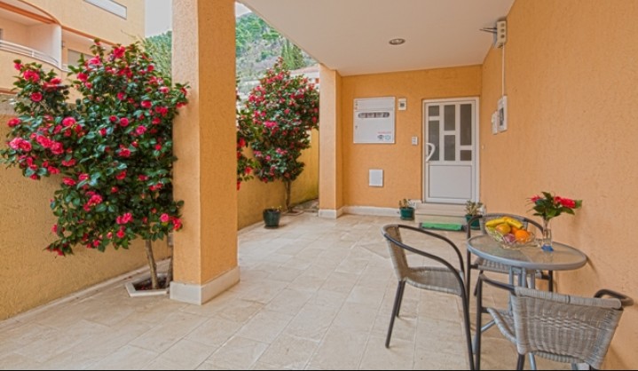 Harmonia Villa — Будванськая Рівʼєра, Чорногорія мініатюра 6
