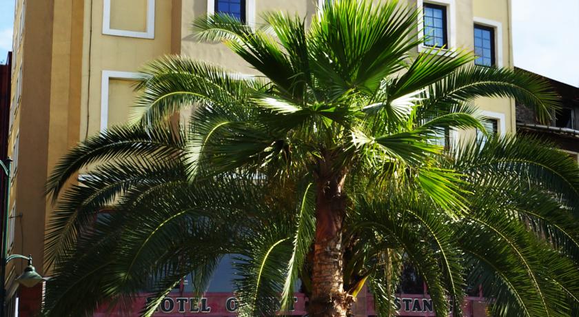 Orient Mintur Hotel — Стамбул, Туреччина мініатюра 10