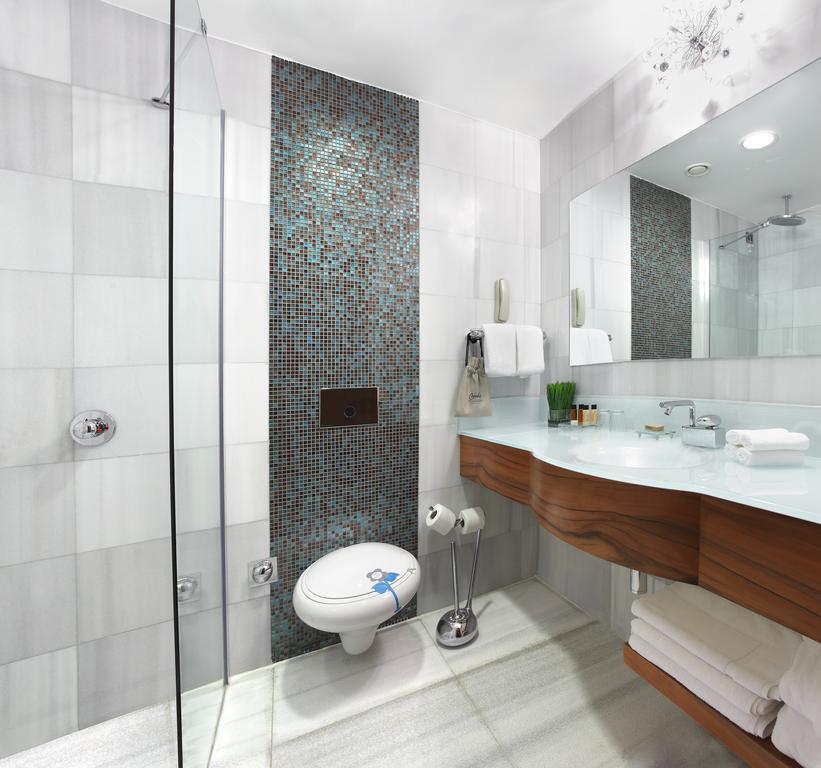 Biz Cevahir Sultanahmet Hotel — Стамбул, Туреччина мініатюра 6