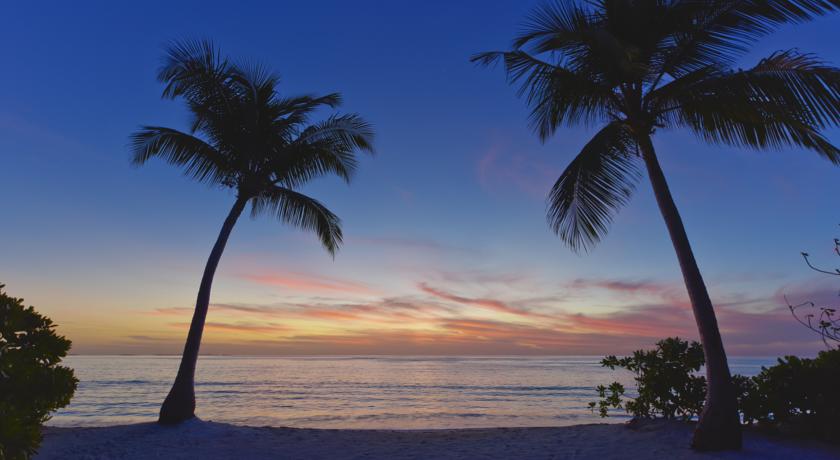 Nh Collection Maldives Havodda Resort — Гаафу Даалу Атол, Мальдіви мініатюра 20