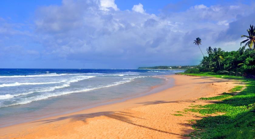 The Beach Cabanas Retreat & Spa — Коггала, Шрі Ланка мініатюра 86