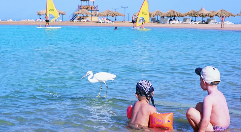 JAZ Palmariva Beach — Макаді Бей, Єгипет мініатюра 27