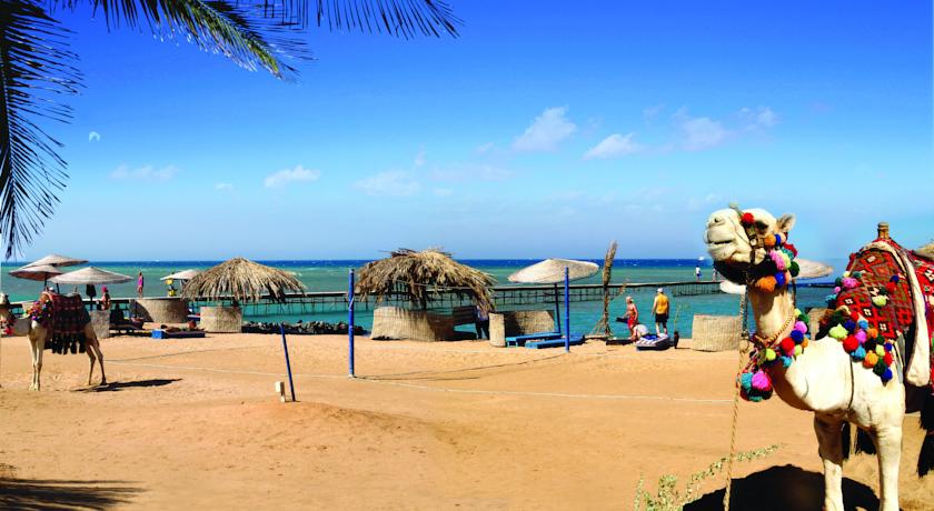 Cooks Club El Gouna — Ель Гуна, Єгипет мініатюра 15
