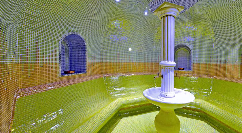 Grifid Vistamar Hotel, Золоті Піски, Болгарія мініатюра 100