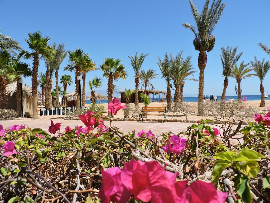 TIME Coral Nuweiba Resort — Нувейба, Єгипет мініатюра 37