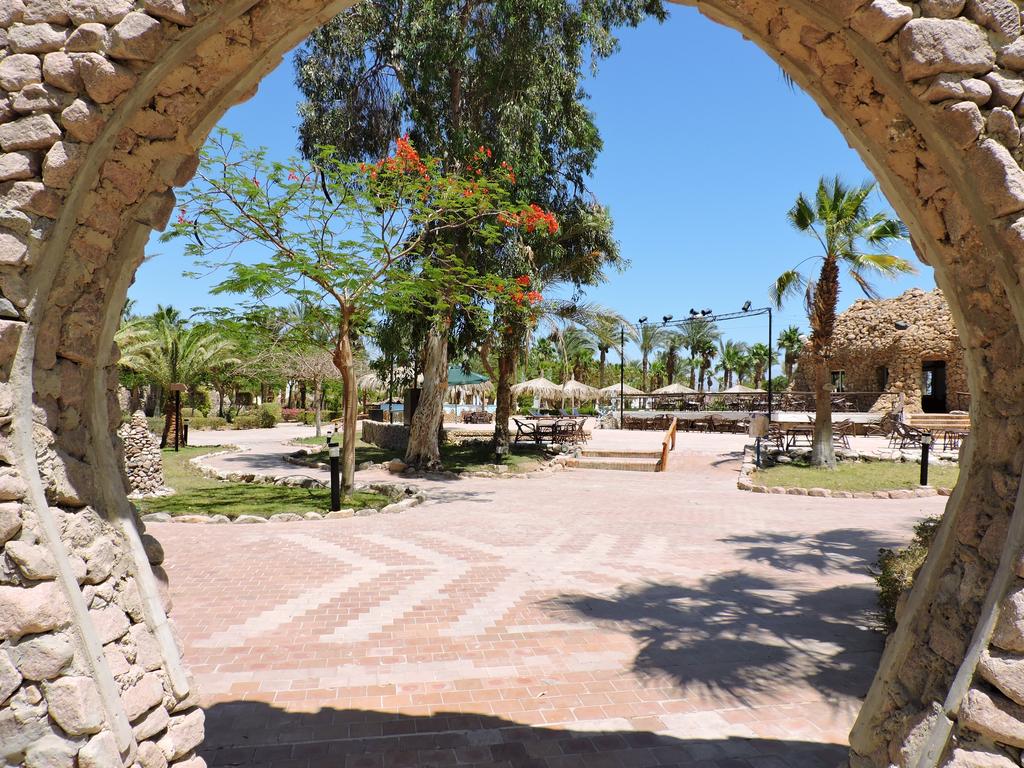 TIME Coral Nuweiba Resort — Нувейба, Єгипет мініатюра 38