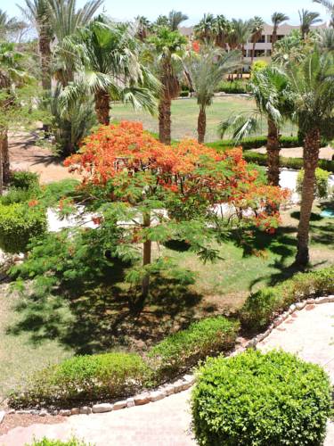 TIME Coral Nuweiba Resort — Нувейба, Єгипет мініатюра 39