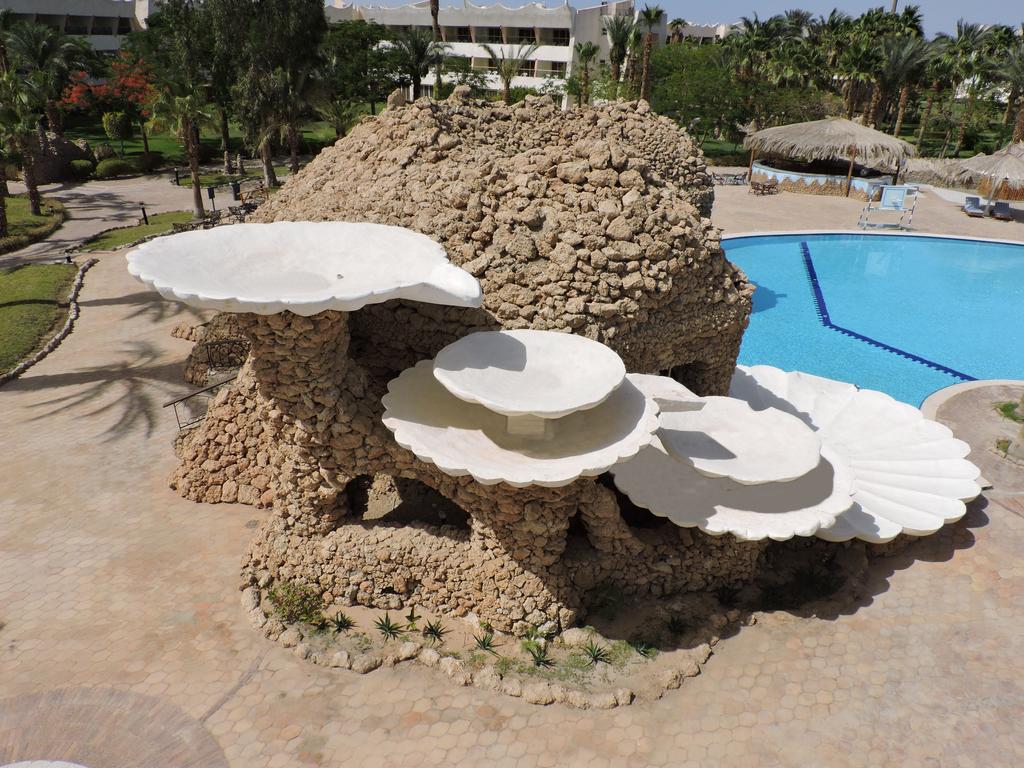TIME Coral Nuweiba Resort — Нувейба, Єгипет мініатюра 43