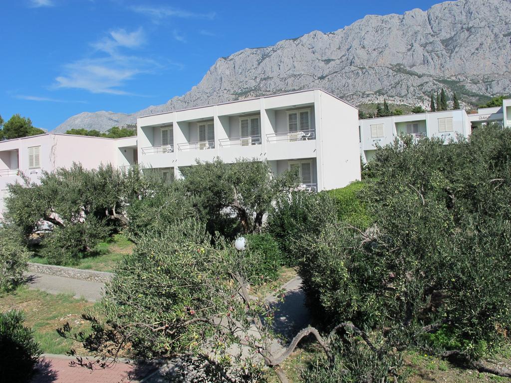 Sunny Resort Makarska — Макарська, Хорватія — фото 1